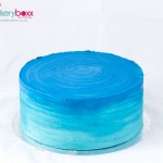 Ombre Cake with strawberry sponge